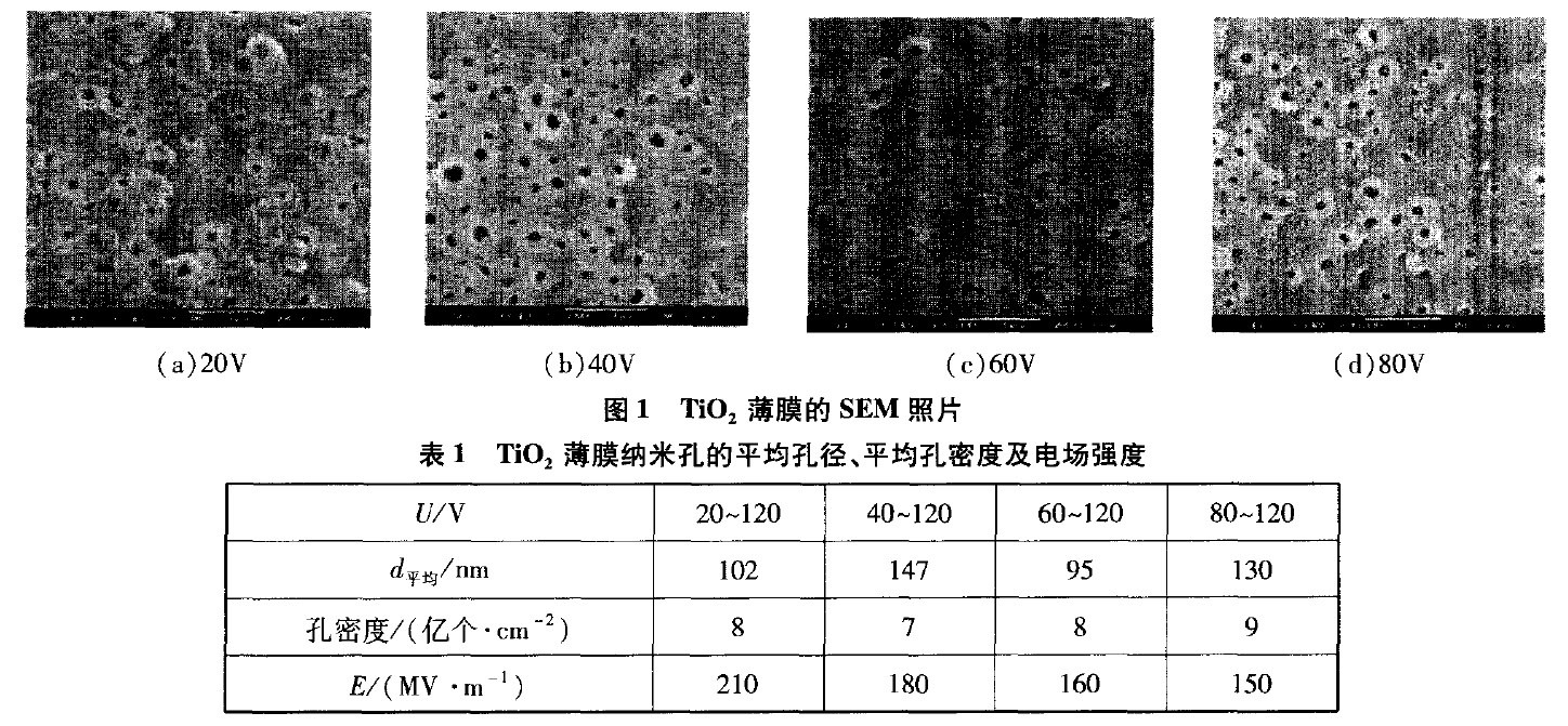 电压对钛阳极氧化薄膜形貌的影响 电压对钛阳极氧化薄膜形貌的影响