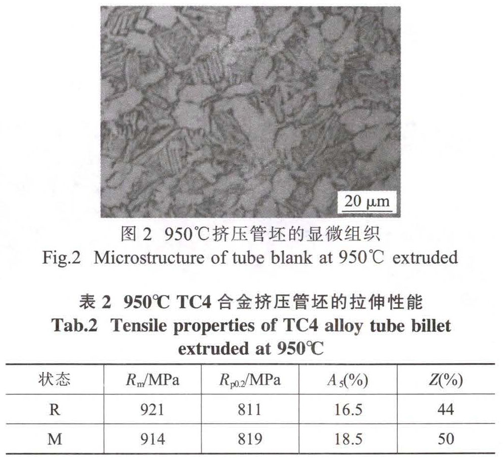 t2-b2.jpg
