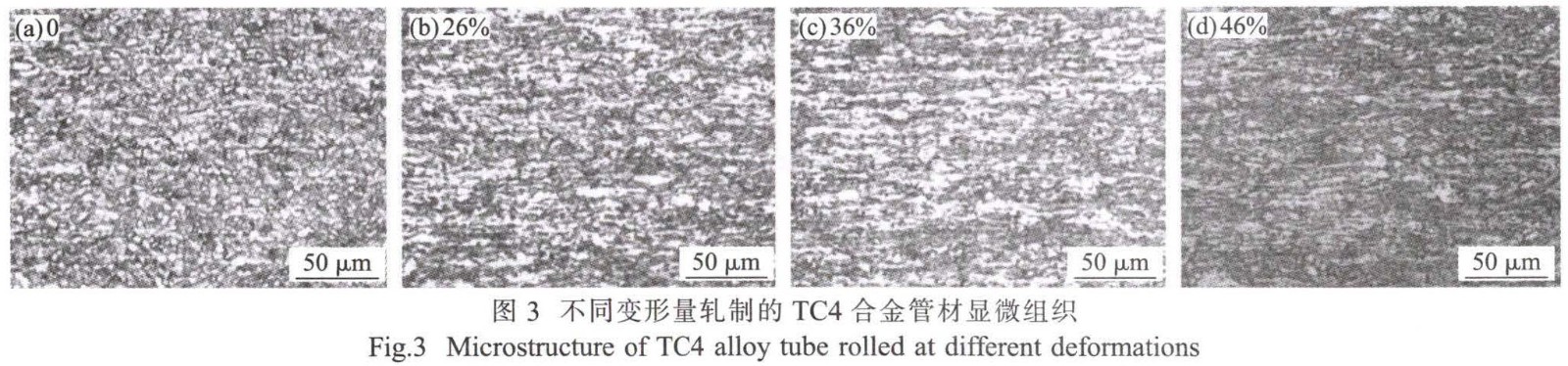 t3.jpg