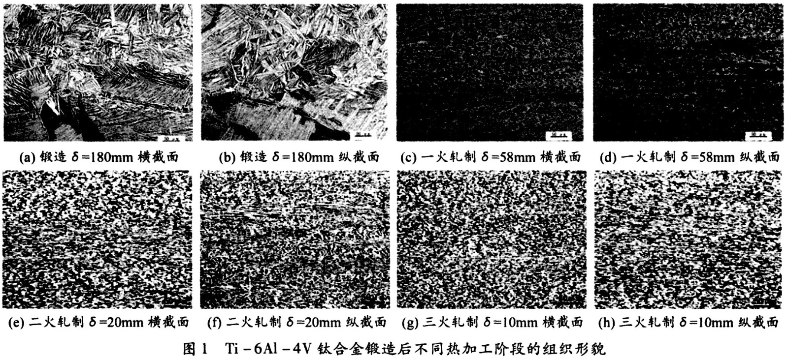 未标题-3.jpg