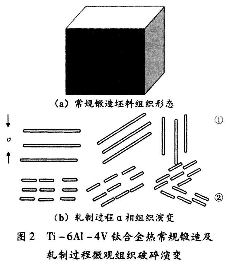 未标题-5.jpg