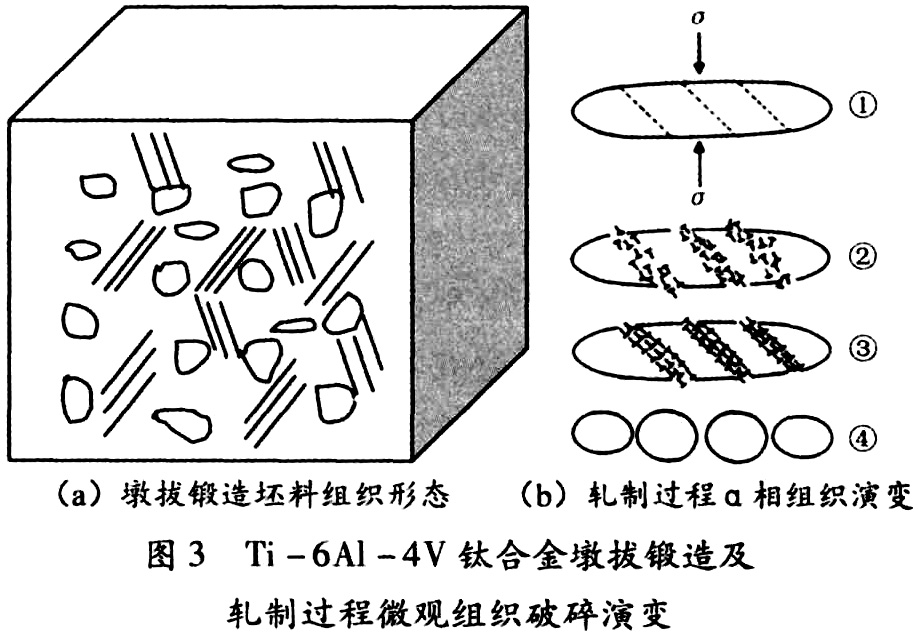 未标题-6.jpg