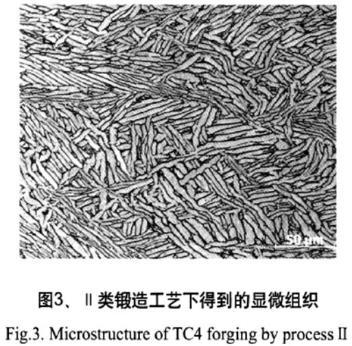 t3.jpg