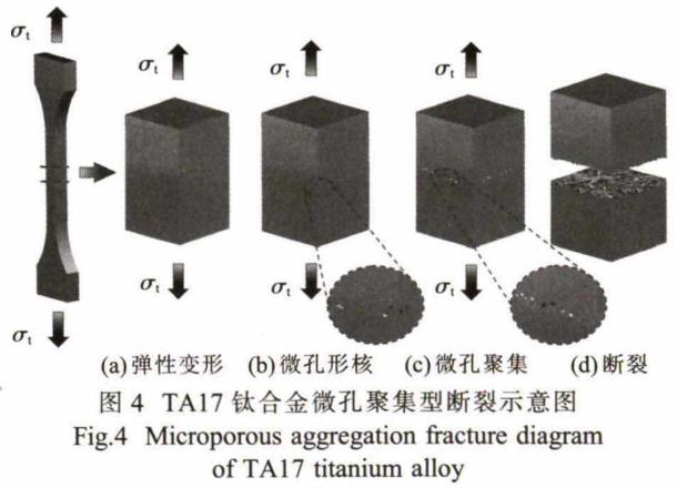 t4.jpg