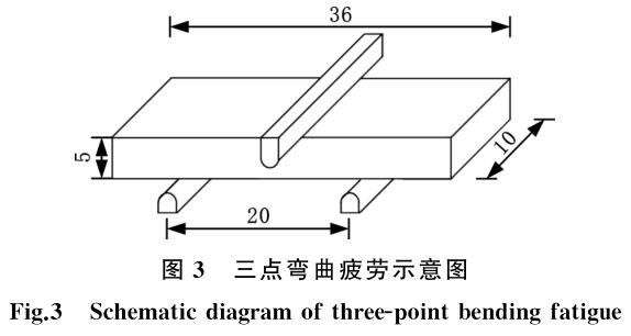 1704874654936333.jpg t3.jpg