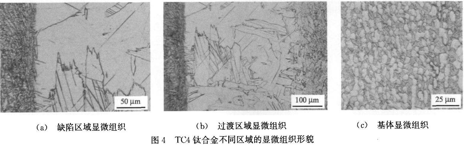TC4钛合金不同区域的显微组织形貌